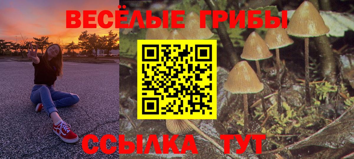 Владимир  Галлюциногенные грибы GOLDEN TEACHER  Вход с VPN 