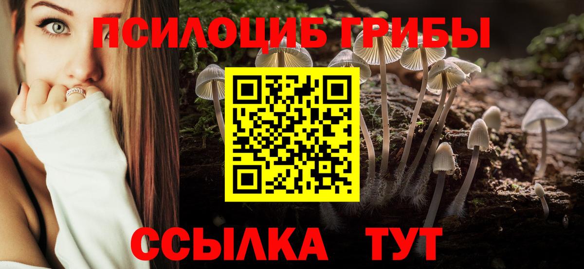 Псилоцибиновые грибы GOLDEN TEACHER Владимир